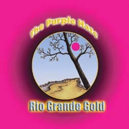 Purple Haze "Rio Grande Gold"