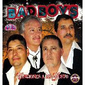 Bad Boys Vol 3 Canciones A Mi Gusto CD