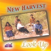 New Harvest "Look Up"