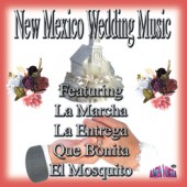 New Mexico Wedding